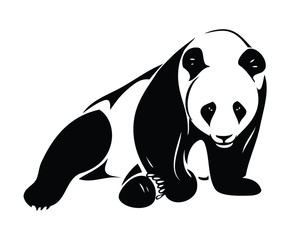 Fototapeta premium Isolated panda illustration