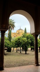 Obraz premium Mezquita VS Catedral.