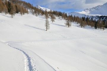 Fototapeta na wymiar Snowy krajobraz górski z rakiet śnieżnych śledzić