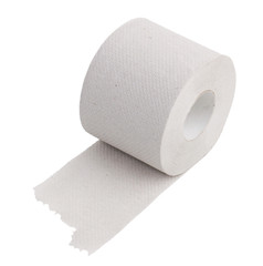 Roll of white toilet paper