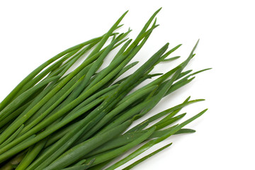 spring onion