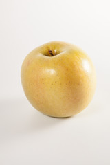 Manzana OZARK GOLD