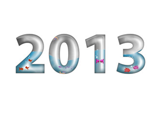 NEW YEAR 2013