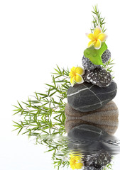composition galet, bambou et fleurs