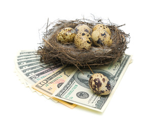 Obraz premium eggs in the nest and money on a white background