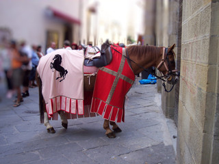 Cavallo da parata
