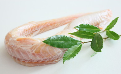 Obraz premium roussette,poisson