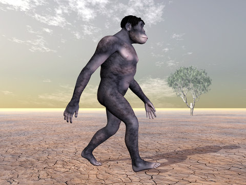 Homo Habilis - The Evolution of Man