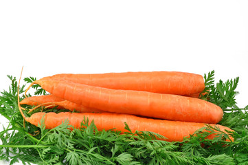 fresh carrots on white background