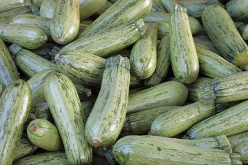Zucchini
