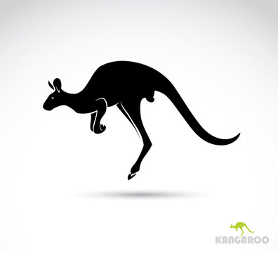 Kangaroo silhouette
