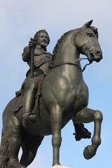 Fototapeta na wymiar Statue d'Henri IV