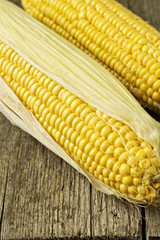 Two corn cobs on a wooden table
