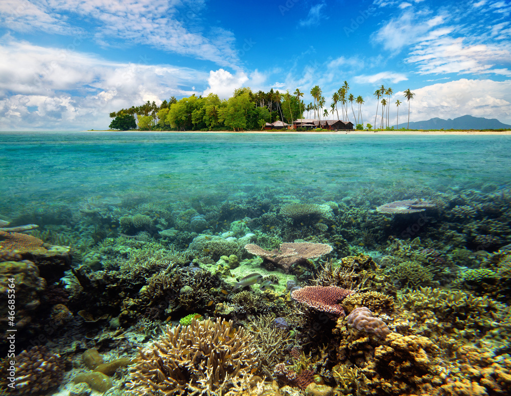 Canvas Prints Beautiful tropical Coral Island