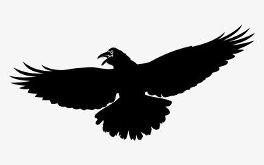 Flying raven