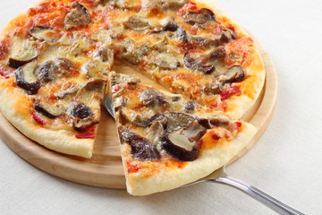 Pizza lifted slice