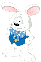 Rabbit - Cartoon Character - Vector Illustration
