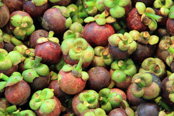 mangosteen