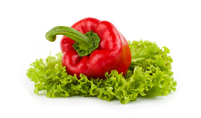red paprika and  green lattice isolated on white background