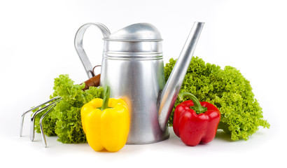 Garden tools and  fresh vegetables isolated on white