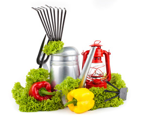 Garden tools and  fresh vegetables isolated on white