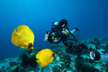 Underwater Photographer scuba diving with camera  in Red sea