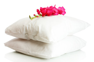 Fototapeta na wymiar poduszki i kwiaty, samodzielnie na białym tle