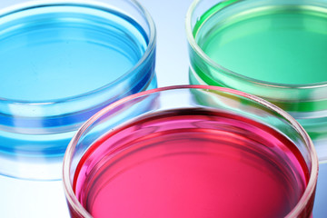 color liquid in petri dishes on blue background