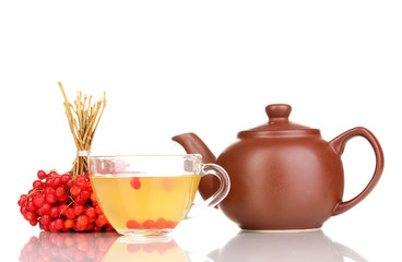 tea with red viburnum isolated on white