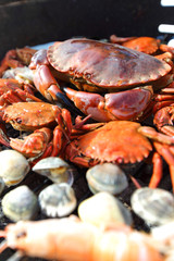 crabs shrimps on charcoal grill