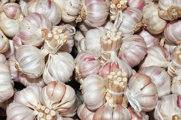 Group of garlic close-up on the market.