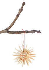 Decorative straw snowflake on a branch for Christmas. Isolated.