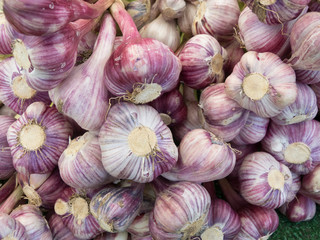 Pile of garlic