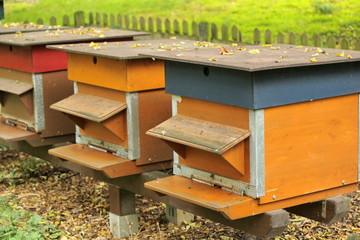 Fototapeta na wymiar Colorful beehives