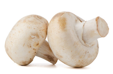 Champignon mushrooms