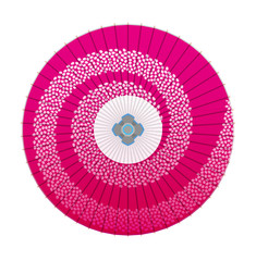 桜吹雪の和傘 © hiro