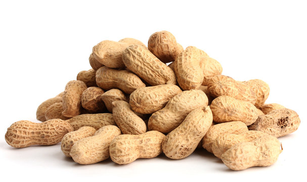 tasty peanuts, isolated on white