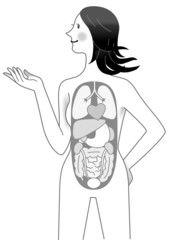 人の体　五臓六腑