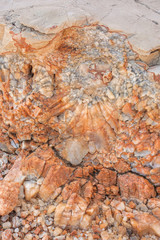 Detail of dolomite, calcite stone surface, Vrboska, Croatia