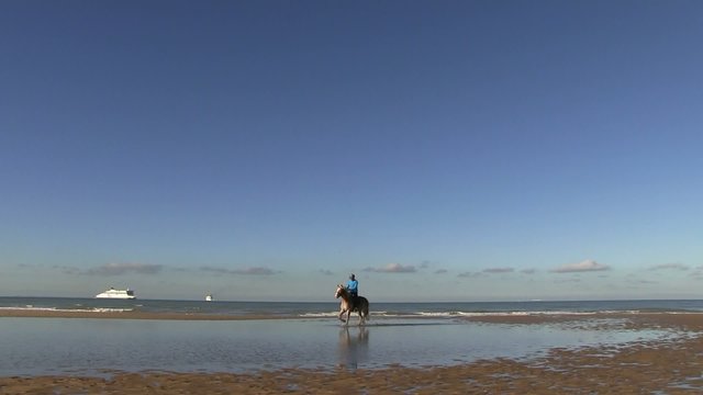 au trot dans les flaques