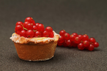 cake with red currant and a branch in the background
