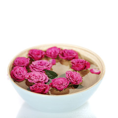 pink roses in bowl
