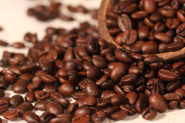 Coffee beans in coconut shell on jute background.