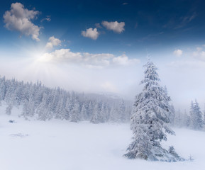 Beautiful winter landscape in the mountains