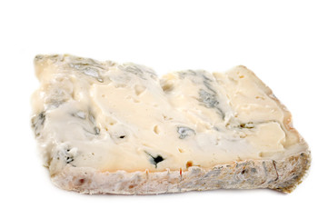 gorgonzola