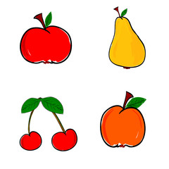 fruit in color vector illustration