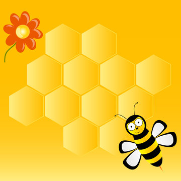 cute bee with honeycombs vector illustration