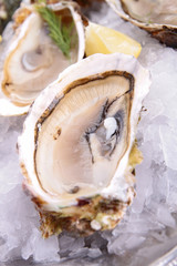 oyster served in ice
