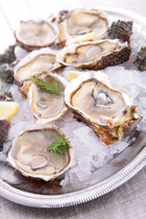 oyster served in ice