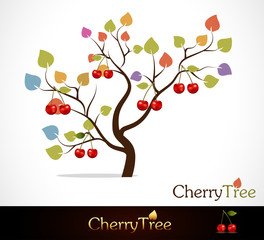 Fototapeta premium Colorful cherry tree
